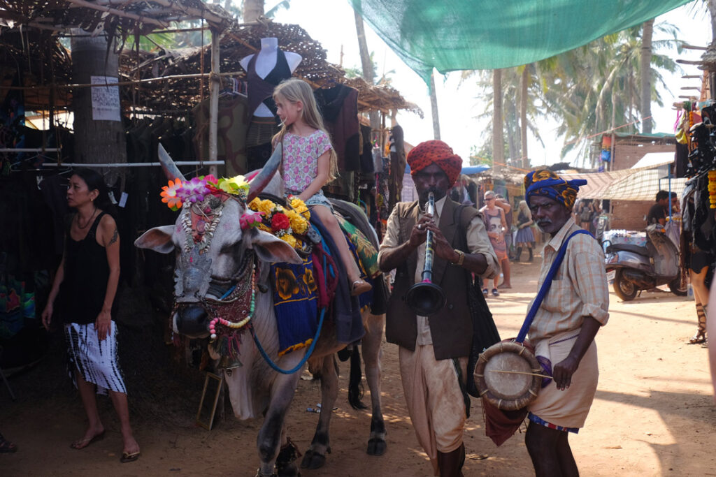 Anjuna Goa market